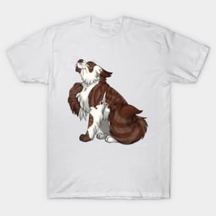 Chocolate Bicolor Tabby Longhair T-Shirt